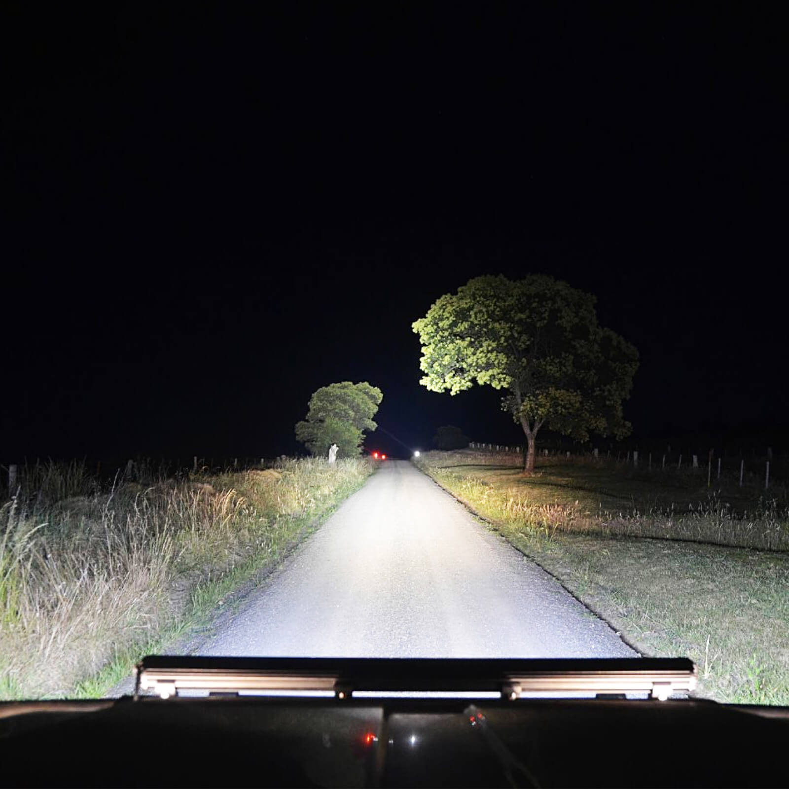 H8/H9/H11/H16 LED Headlight Light Bulbs, Super Bright 8000LM 6000K White with Cooling Fan, 1:1 Mini Size Plug and Play Car Fog Light, Pack of 2