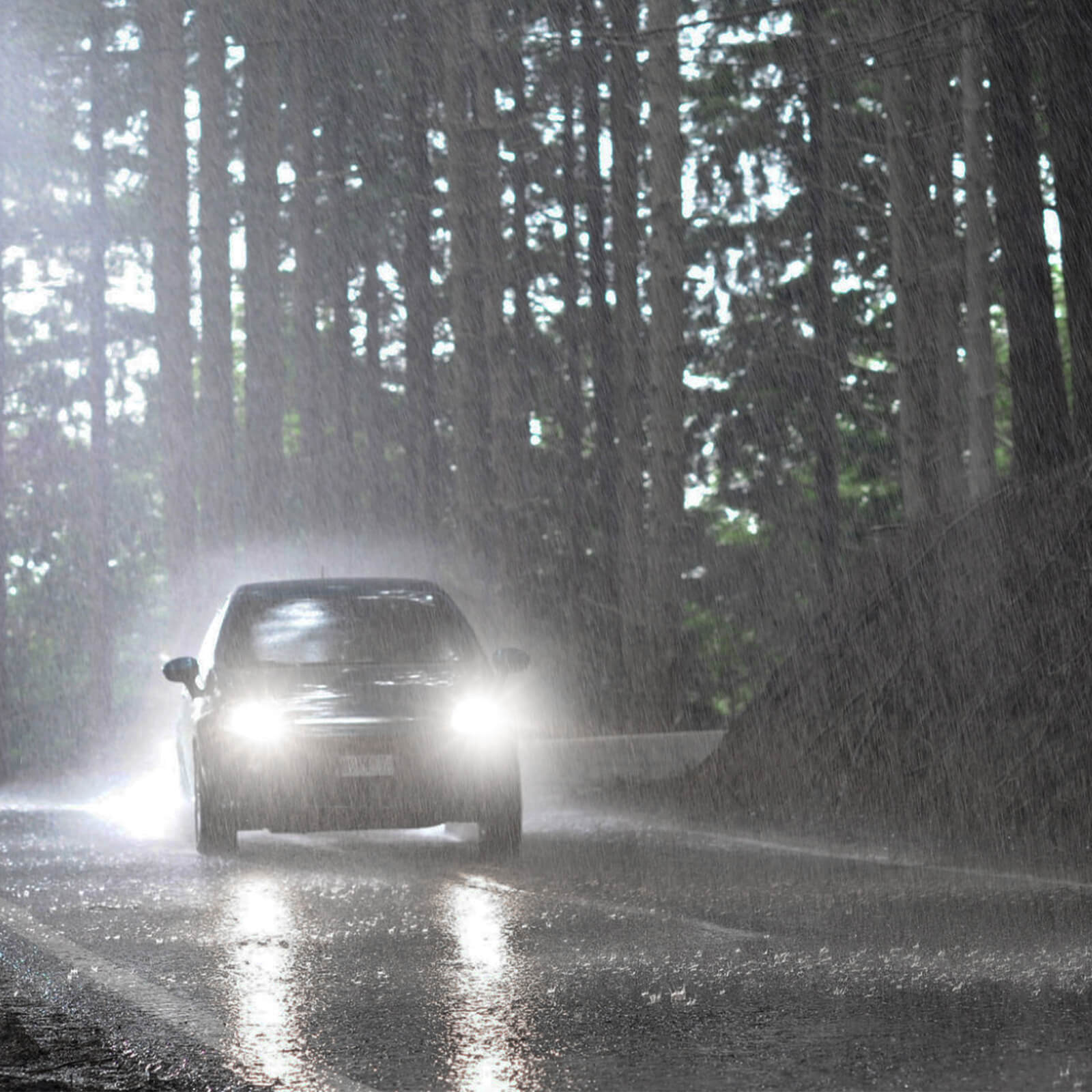 H8/H9/H11/H16 LED Headlight Light Bulbs, Super Bright 8000LM 6000K White with Cooling Fan, 1:1 Mini Size Plug and Play Car Fog Light, Pack of 2